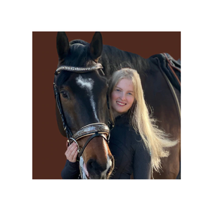 Brida Barroca de Edición Limitada, Precio de Fábrica al por Mayor, Productos Ecuestres, Fabricante de Bridas, Plegable - Product Image 1