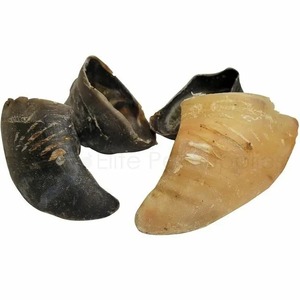 Dental Health Hoof Chews - Reduce la acumulación de placa y sarro para perros - Product Image 1