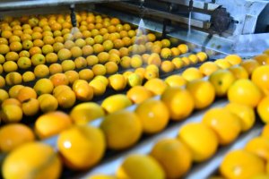 Giá thấp nhất nước trái cây dây chuyền sản xuất với Top Grade Chất liệu làm cho công nghiệp sử dụng bởi các nhà xuất khẩu - Product Image 5