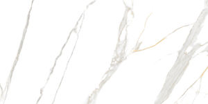 กระเบื้องตกแต่งภายในดีไซน์ทันสมัยคุณภาพพรีเมียม กระเบื้องลายไม้คุณภาพสูง ขนาด 600x1200 มม. ผลิตในอินเดีย - Product Image 4