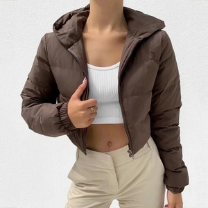 Top Tendance Vente en Gros Doudoune Élégant À Capuche Coupe-Vent Puffer Femmes Veste Personnalisée Décontractée Fermeture Éclair Veste D'hiver - Product Image 6