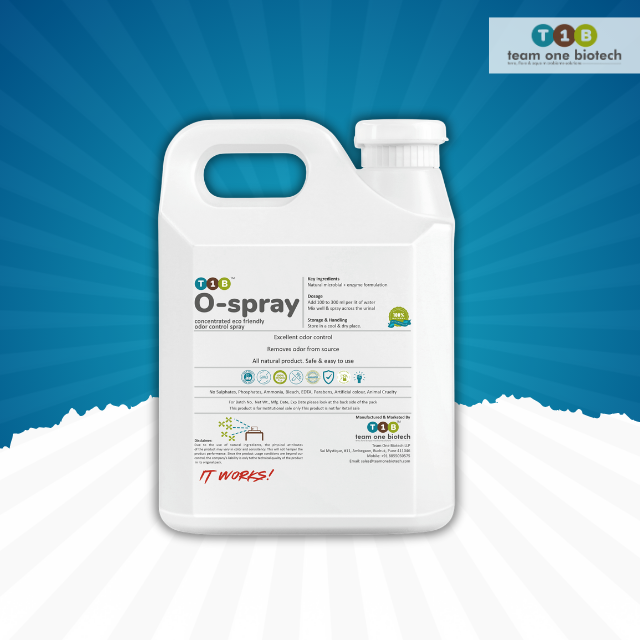 โปร่งแสง