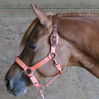 Bridon d'endurance pour cheval de dernière génération, issu de notre collection d'articles équestres exclusifs, en matière synthétique lavable.