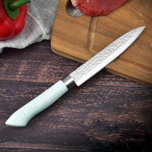 Couteau d'office en acier inoxydable de haute qualité personnalisé en gros Offre Spéciale cuisine coupe quotidienne couteau à légumes OEM disponible - Product Image 6