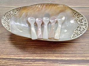 Economical Practical Cheap Natural Mother of Pearl River Shell <b>Spoon</b> Caviar <b>Spoon</b> <b>Ice</b> <b>Cream</b> <b>Spoon</b> With Long Handle Decoration - Product Image 5