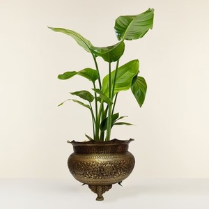 Pots de fleurs en métal de luxe de qualité supérieure idées pour jardin et intérieur décoratif à un prix abordable - Product Image 3