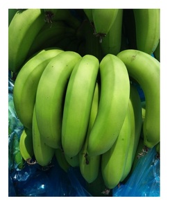 Banane Cavendish verte fraîche de qualité supérieure de haute qualité meilleur fruit populaire du Vietnam en gros - Product Image 3