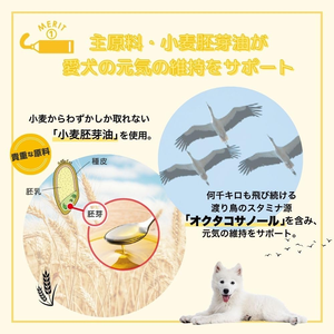 Köpekler için Wholes + besin takviyesi aminophenol 100g yüksek Protein takviyesi - Product Image 3