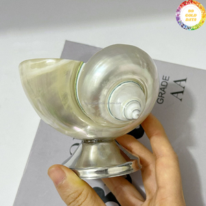 Verre en coquillage naturel, produit au Vietnam, parfait pour la décoration créative et le service de boissons fonctionnel. - Product Image 2