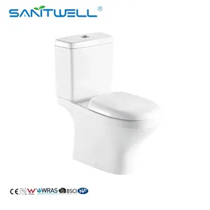 Sanitaire Toilette Sans Monture Lavage Rinçage Salle de Bain en Céramique de Luxe Toilette WC Deux Pièces