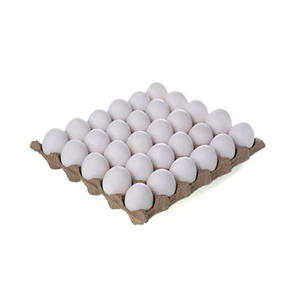 Huevos de corral de primera calidad, cuidadosamente seleccionados, envasados de forma higiénica, con larga duración de conservación para compradores de exportación global. - Product Image 4