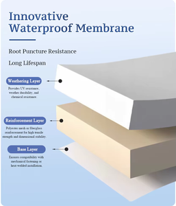 Membrana Autoadhesiva Impermeable y Resistente a la Humedad para Reparación <span class=keywords><strong>de</strong></span> <span class=keywords><strong>Goteras</strong></span> <span class=keywords><strong>en</strong></span> Techos <span class=keywords><strong>de</strong></span> <span class=keywords><strong>Tejas</strong></span> <span class=keywords><strong>de</strong></span> Acero y <span class=keywords><strong>Tejas</strong></span> <span class=keywords><strong>de</strong></span> Asbesto - Product Image 5