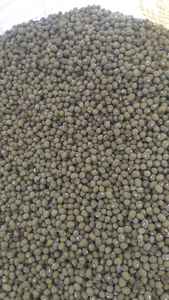 MUNG BEAN 10-25Kg Por Caja Marca Star Laboratories - Product Image 2