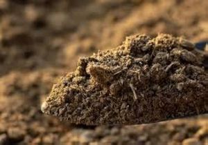 Engrais en poudre de fumier de vache biologique premium pour plantes d'intérieur, booster de santé du sol de jardinage, écologique, approvisionnement en vrac - Product Image 2