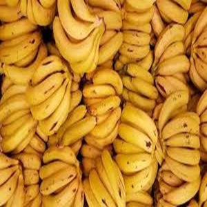 Nature's Perfect Snack - Cavendish <b>Bananas</b> for Multi-Purpose Usage for Sale - Product Image 5