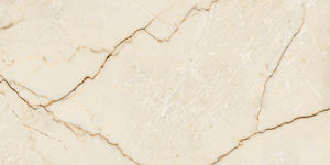 Couleurs vives Designs personnalisés planche de bois gres porcelanto Fabrication en Inde pour le hall de l'hôtel. - Product Image 4