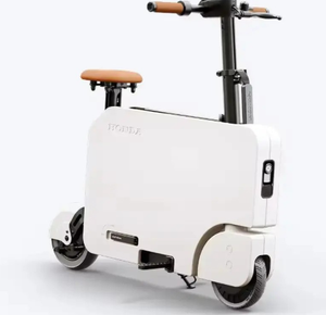 Patinete plegable eléctrico 2025 de 24V, sistema de freno de disco con batería de litio de 24V, acero - Product Image 6