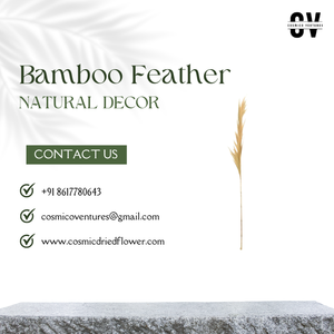 Hierba de plumas de bambú hermosa natural de buena calidad para decoración de flores secas - Product Image 5