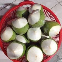 DELICIOSO COCO JOVEN FRESCO/AGUA DULCE Y DE CULTIVO ORGÁNICO/HECHO EN VIETNAM/HAGA CLIC PARA UN DESCUENTO EXCLUSIVO