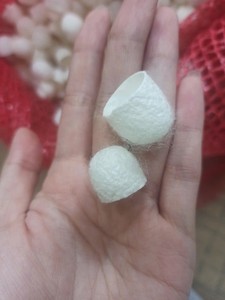 <b>Silk</b> Cotton for Modern Minimalist Styles High Quality <b>Silk</b> Cotton for Exporters - Product Image 6