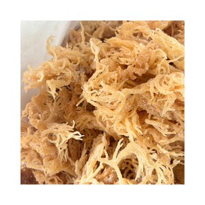 Vente en gros d'algues marines Eucheuma Cottonii séchées avec une qualité uniforme et un rendement élevé en carraghénane - Product Image 4