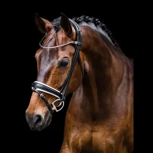 Snaffle bridle Rolled clincher brow band with flash attachment with matching stitching Stainless steel buckles