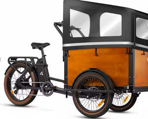 Vélo cargo électrique pour adultes E-325, 750W, batterie lithium 12V 70Ah, cadre en aluminium, 12 vitesses, frein à disque, pneus larges, remorque cargo - Product Image 1