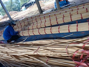 100% Noyau de rotin naturel de bonne qualité Fournisseur en gros du Vietnam 2025 - Product Image 5
