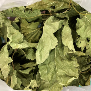 Té de morera vietnamita, Exportación - Product Image 5