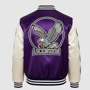 Chaqueta Varsity Premium Personalizada con Bordado Chenille para Hombre, Estilo Urbano Ligero, Oferta Especial de Invierno - Product Image 2