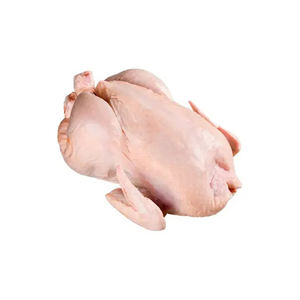 Dindes entières halal congelées biologiques de haute qualité en vrac pour la vente en gros - Product Image 3