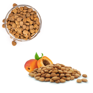 Noyau d'abricot | Riche en huile naturelle pour usage cosmétique - Product Image 5