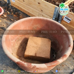 HOT ITEM COIR PEAT LOW EC du Viet Nam Meilleur moyen de culture biologique pour les exportateurs, les serres et les projets agricoles - Product Image 5