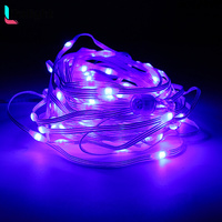 Guirnalda de Luces LED Inteligentes de Cuero, Resistentes al Agua, para Decoración Navideña, Control Remoto por Aplicación, WS2811, DC5V 12V