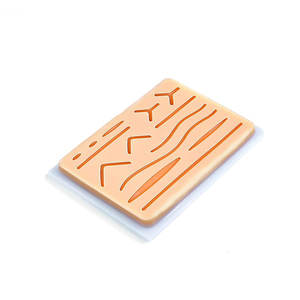 Kit de disección de laboratorio de 3 uds, Kit de disección de Laboratorio Avanzado, acero alemán para anatomía, biología, estudiantes, conjunto de cirugía - Product Image 5