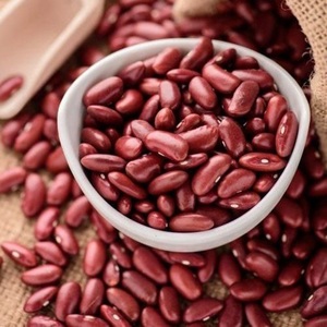Bulk Red Kidney <b>Beans</b> for Sale High Quality Export <b>Beans</b> From Turkey with 2-Year Shelf Life and Competitive Price - Product Image 3