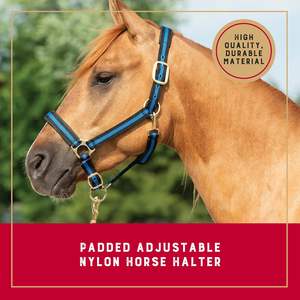 Licou de cheval en nylon non réglable original durable et confortable pour chevaux et poneys - Product Image 2