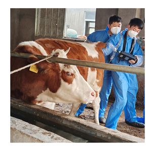 Ecógrafo veterinario portátil Dawei para animales grandes, caballos y ganado, en venta. - Product Image 3