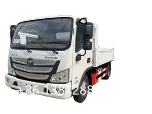 Camión Ligero Foton Nuevo con Volante a la Derecha, Camión Volquete 4x2 de Alta Calidad y Precio Económico CLW en Venta - Product Image 2