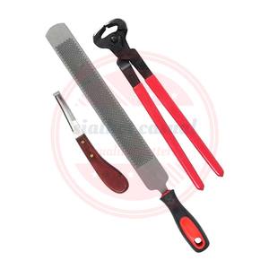 Instrumentos veterinarios profesionales de alta calidad, herramientas de herrador, 3 uds., Kit de pezuña de herrador, juego de instrumentos veterinarios - Product Image 2