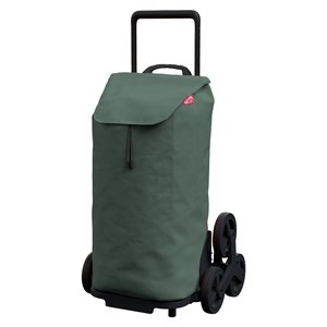 Chariot de courses pliable 52L avec filet et tissu vert 51x44x96cm - Product Image 1