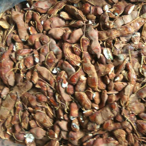 Tamarindo - Product Image 1