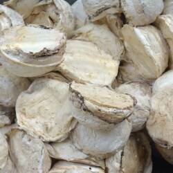 Terrón de taza de materias primas de caucho de látex de alta calidad de grado superior para moldeo - Product Image 3