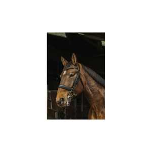 Bride en cuir de cheval marron de haute qualité avec muserolle Flash Pull-Back Logo personnalisé vêtements de sport pour licou d'équitation - Product Image 3