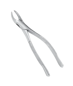 Fórceps de dientes de incisivo curvos eficientes, herramienta de Odontología Veterinaria de caballo reutilizable de acero inoxidable para procedimientos dentales equinos - Product Image 5