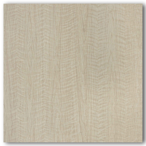 4539 Aplicación para Vivienda en India - Product Image 3