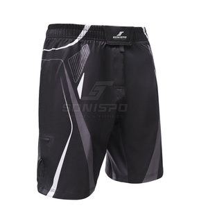 Shorts d'entraînement MMA pour hommes de haute qualité et confortables, 100% polyester, logo personnalisé, vêtements de sport, couleurs personnalisées, arts martiaux - Product Image 1