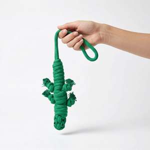Owen, el Lagarto Verde, Juguete de Peluche con Cuerda para Masticar, Duradero, de 10 Pulgadas, Bonito y Ecológico, Juguete para Perros y Mascotas para Jugar en Interiores - Product Image 5