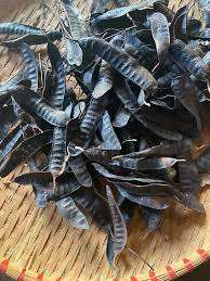 เวียดนามเกรดพรีเมี่ยม Gleditsia sinensis // 100% ธรรมชาติ // คุณภาพสูงสำหรับการเลือกของคุณ // ราคาดีจากเวียดนาม - Product Image 4