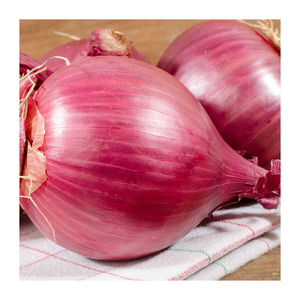 Top Quality Wholesale Fresh Red Skin Onions 4-6cm Size Purple Red Onions Premium Quality Bulk Supply Factory Price - Product Image 3